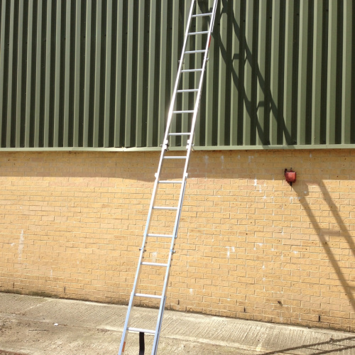 0000165_bayley_stowaway